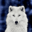 SilverWolfie