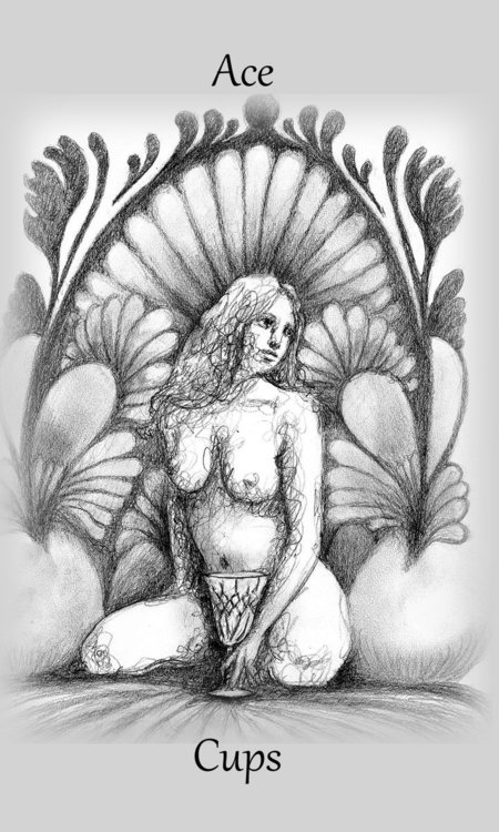 1343390559_Cups1.thumb.jpg.92788532c7c724836e36f632df673dec.jpg