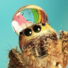 AGooglyBoi