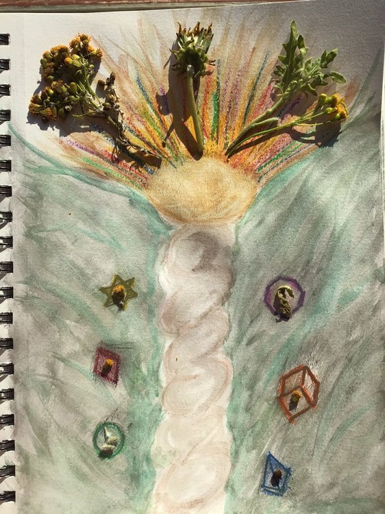 Temperance Angel 1.jpeg