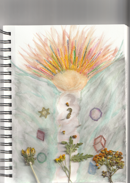 Temperance Angel SG Seeds.png