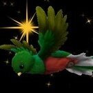 TrogonStar