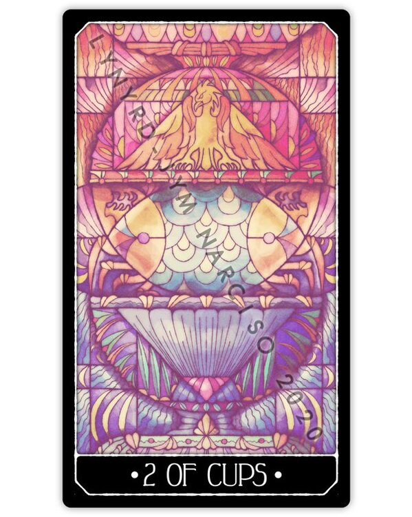 DISCORPORAE CUPS 02.jpg