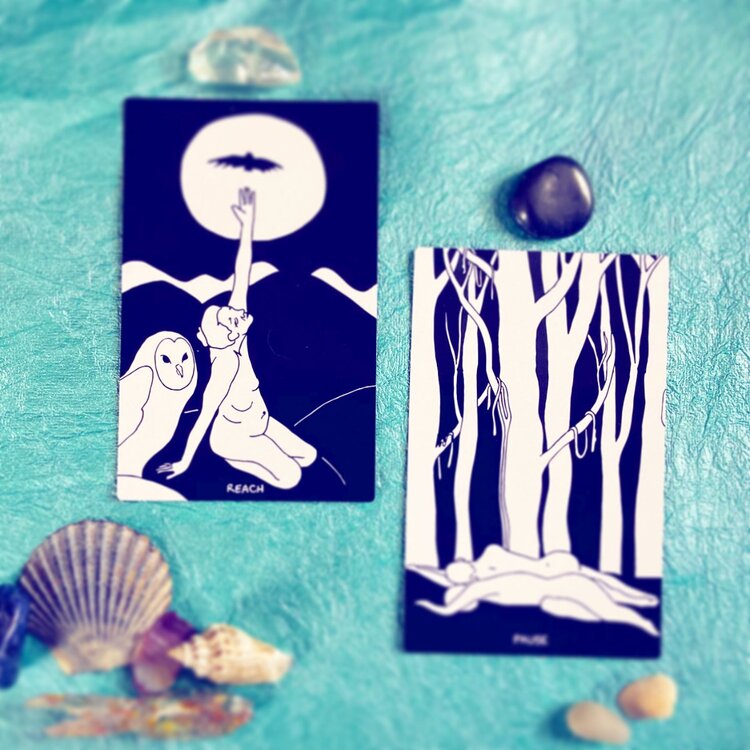 image_6483441 (1).JPG