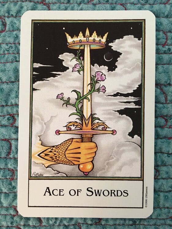 New Palladini Ace of Swords.JPG