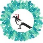 DecemberMagpie