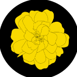 sawasta