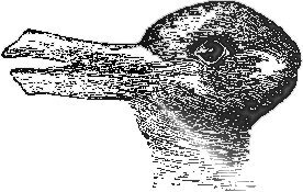 rabbduck.jpg.c694fa13bc1c642ccc663c9e25c54882.jpg