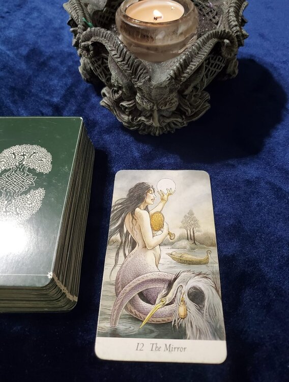 wildwood trimmed.jpg