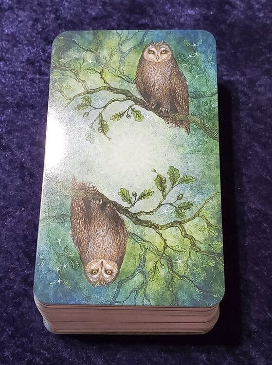 Enchanted Tarot Back.jpg