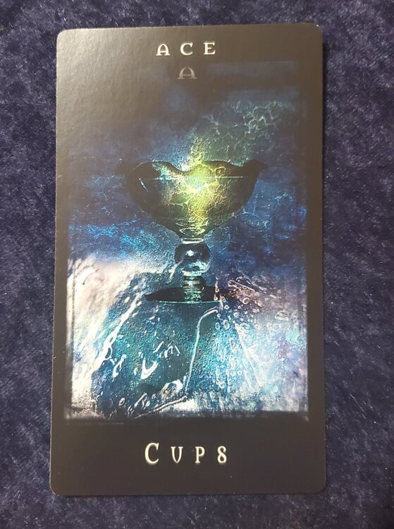 savage tarot_Acecups.jpg