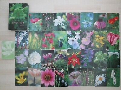 FLOWER-SPIRIT-CARDS-Oracle-Cards-set-by-Melanie.jpg.7095f884dc91ab9d34d6f7ad293b6dbd.jpg