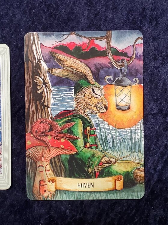 Haven.jpg