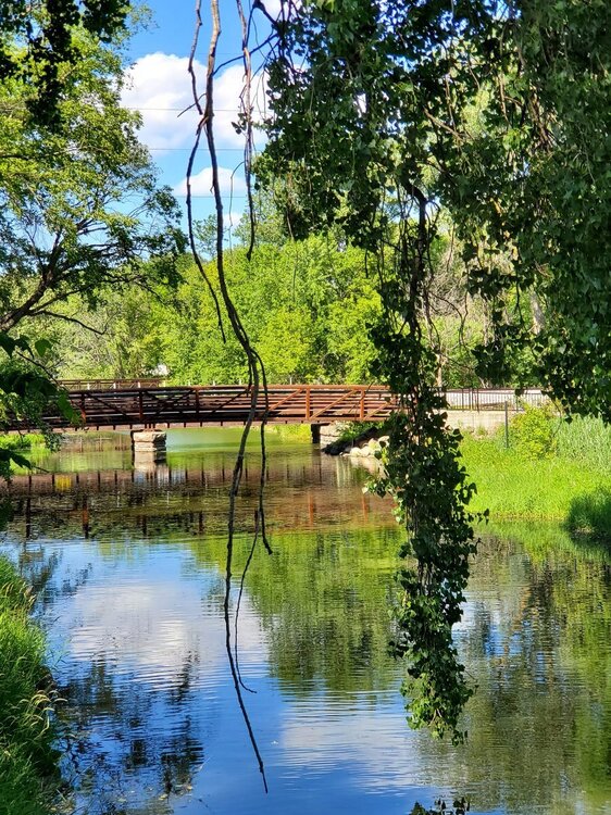wisconsin river gardens.jpg