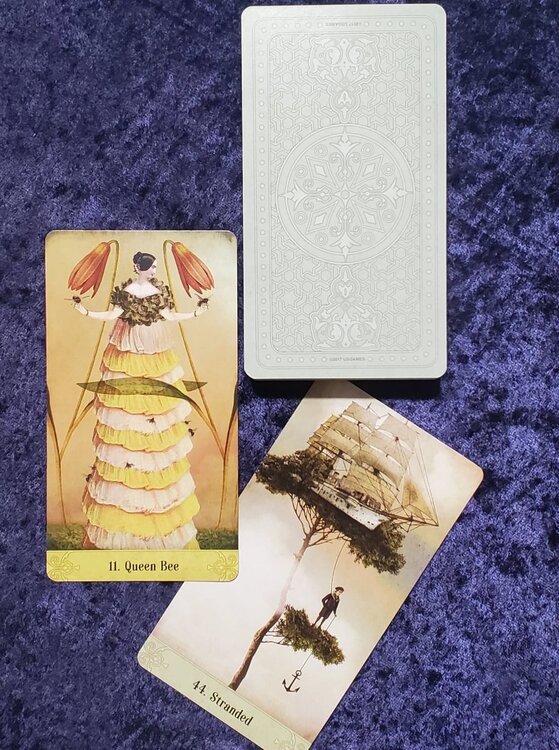 mysitcal moments first 2.jpg