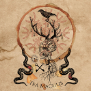 teamaculis