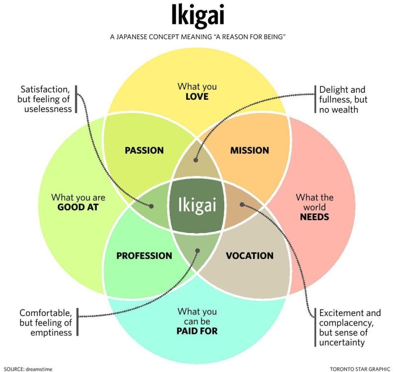 ikigai.thumb.jpeg.ab642981212feb68d400e594fc0822cb.jpeg