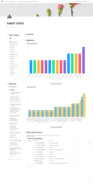 screencapture-notion-so-TAROT-STATS-416559a6800f4111b6fddb73c4d50143-2023-10-03-17_08_34.png