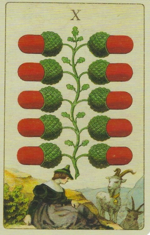 ten of acorns.jpg