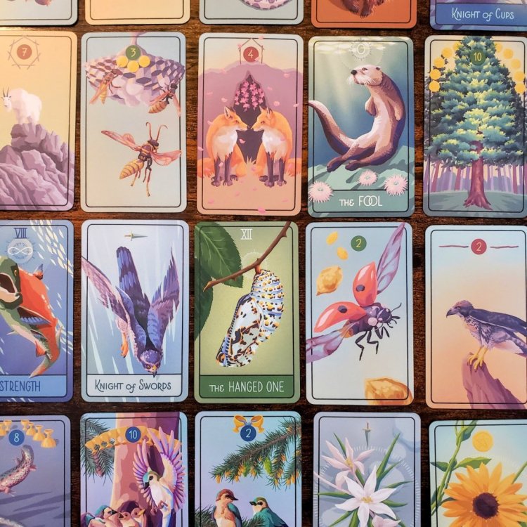 The Pacific Northwest Tarot 4.jpg