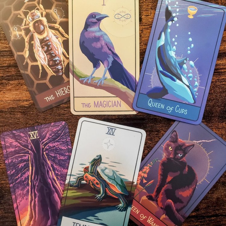 The Pacific Northwest Tarot 6.jpg