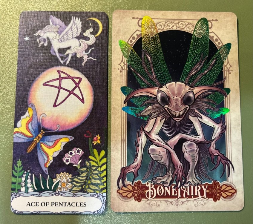 Ace of Pentacles and Bone Fairy.jpeg