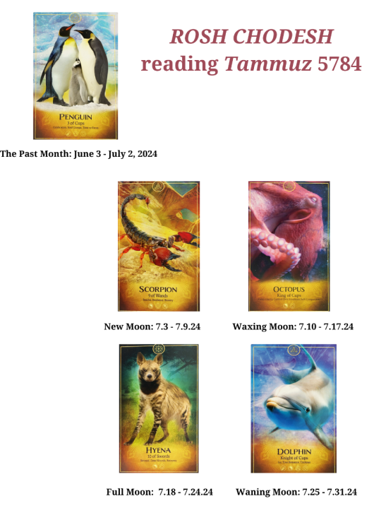 RoshChodeshReadingTamuz5784.thumb.png.0072f93455306d3f5800b88cc1b2e744.png