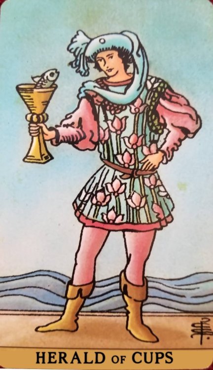 Cups 11 - Herald of Cups.jpg