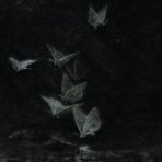 lilitherly