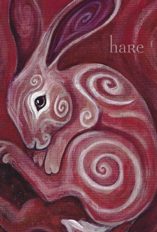 hare.thumb.jpg.9cc6a5cae69d0ec9fa933253c4ac81cc.jpg