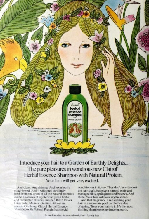 Clairol-Herbal-Essence-Shampoo-1972-770x1134-1004367305.thumb.jpg.93460b9d76f40a7891c3300fc11a1bab.jpg