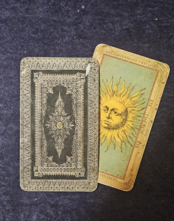 Deck of the Bastard Damage.jpg