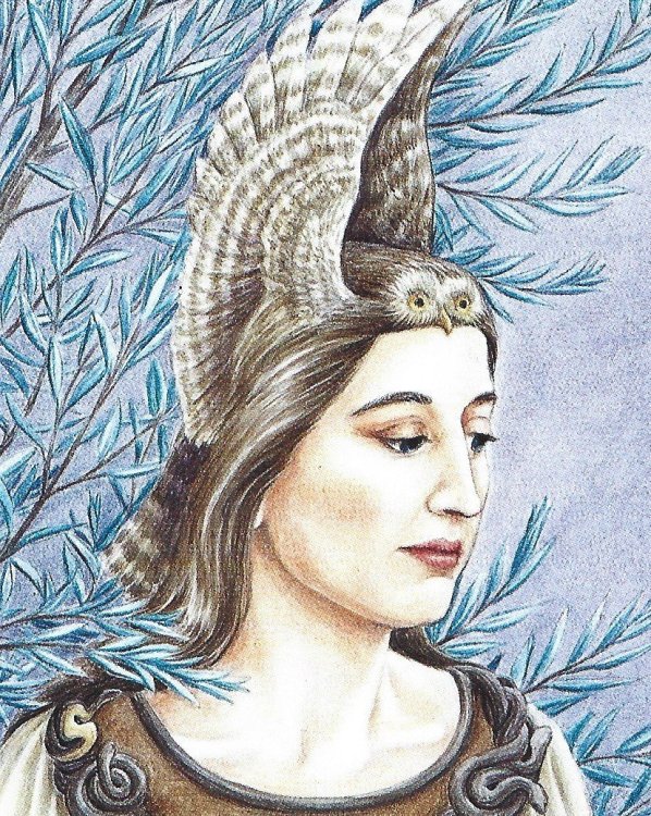 minerva.thumb.jpg.fa4742e5fd9d0a9a745ba611257c965f.jpg