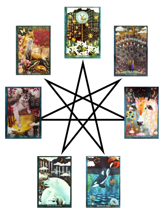  Star of the Week11.30-12.6.25.png