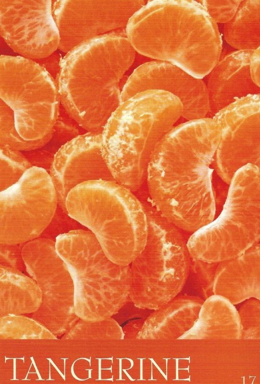 tangerine.thumb.jpg.cd075123b222c2c558f16d7ba45328e7.jpg