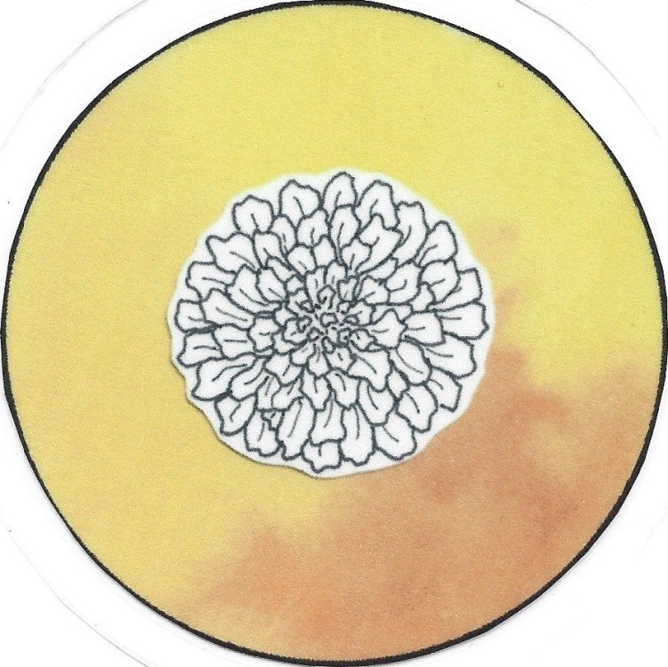 zinnia.thumb.jpg.eb484002a2d03e8482482ad52ba1f8e8.jpg