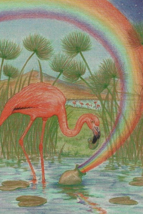 flamingo.thumb.jpg.b139ea5073bb47ee117e1872c645cb66.jpg