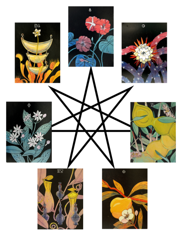 Copy of Star of the Week 7.26 - 8.1.26.png
