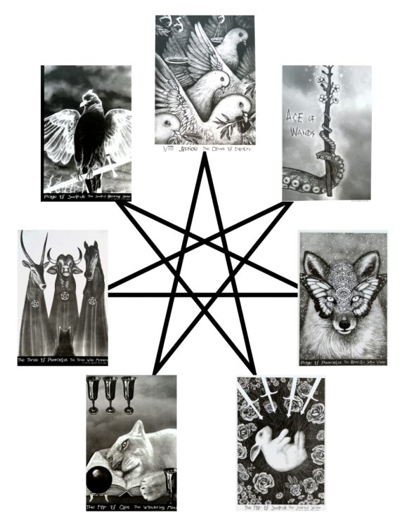Star of the Week 8.23 - 8.29.26.png