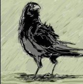 Crow
